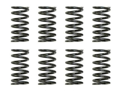 H5 Valve Spring Kit // Arctic Cat 1000 V-Twin