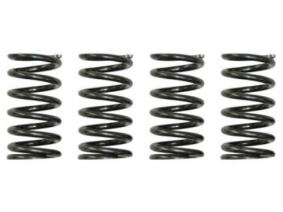 H5 Valve Spring Kit // Arctic Cat 550/650/700