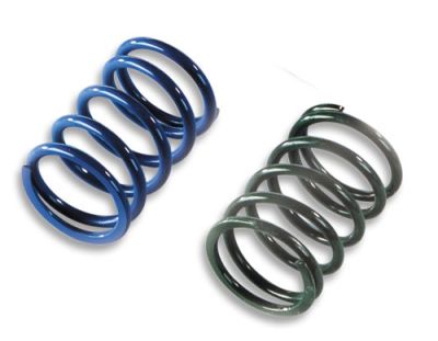 Polaris & Kawasaki Primary Clutch Springs